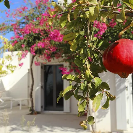 Seven Santa Maria Hotel 4*