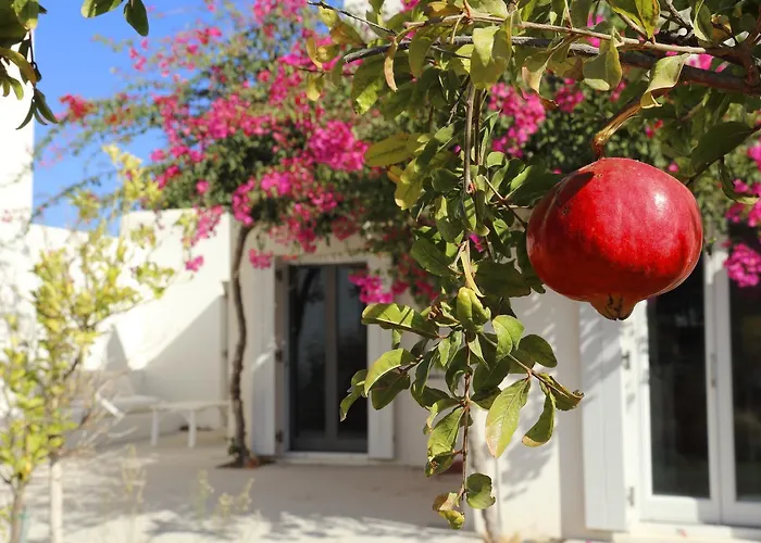 Seven Santa Maria Hotel 4*